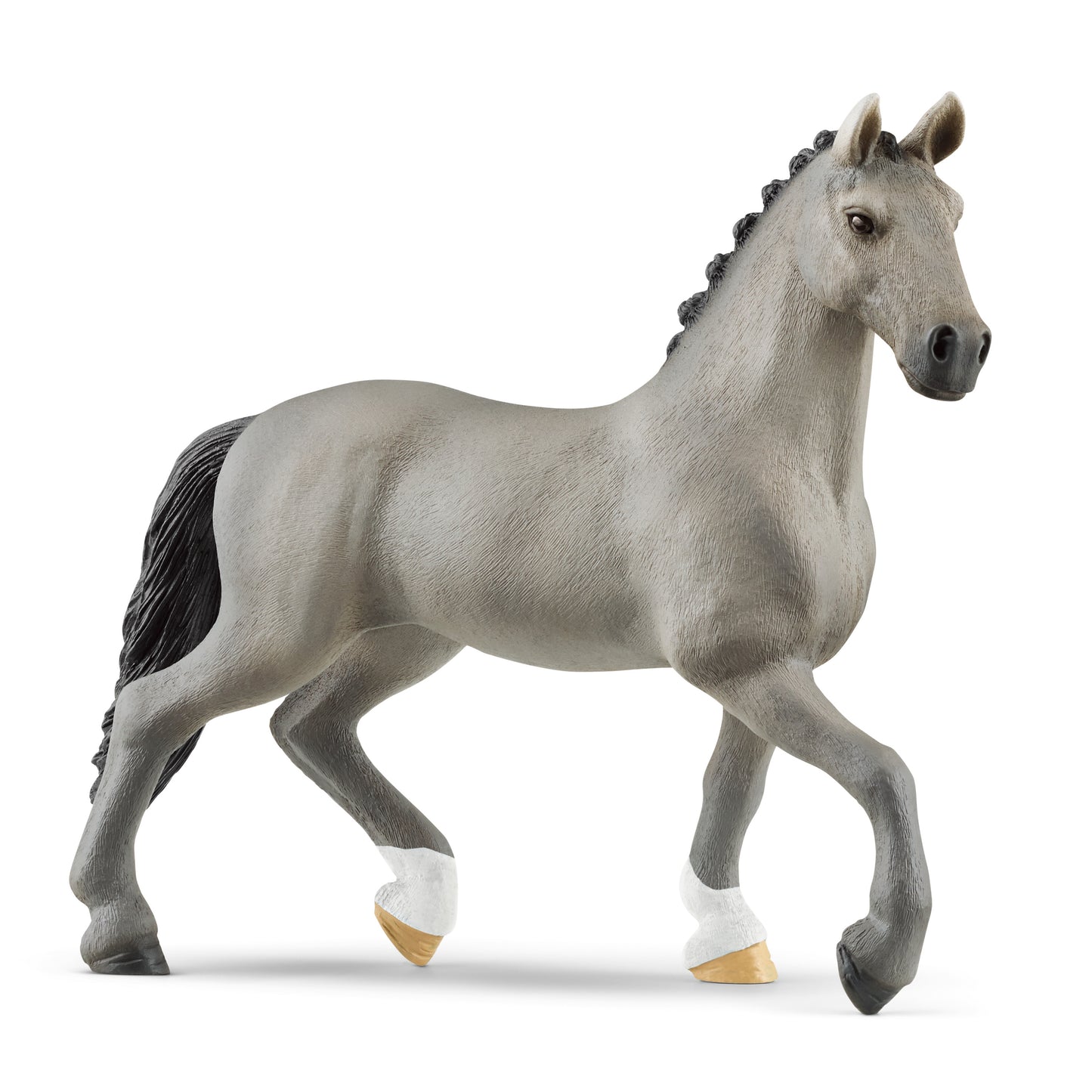 Selle Francais Stallion, Grey