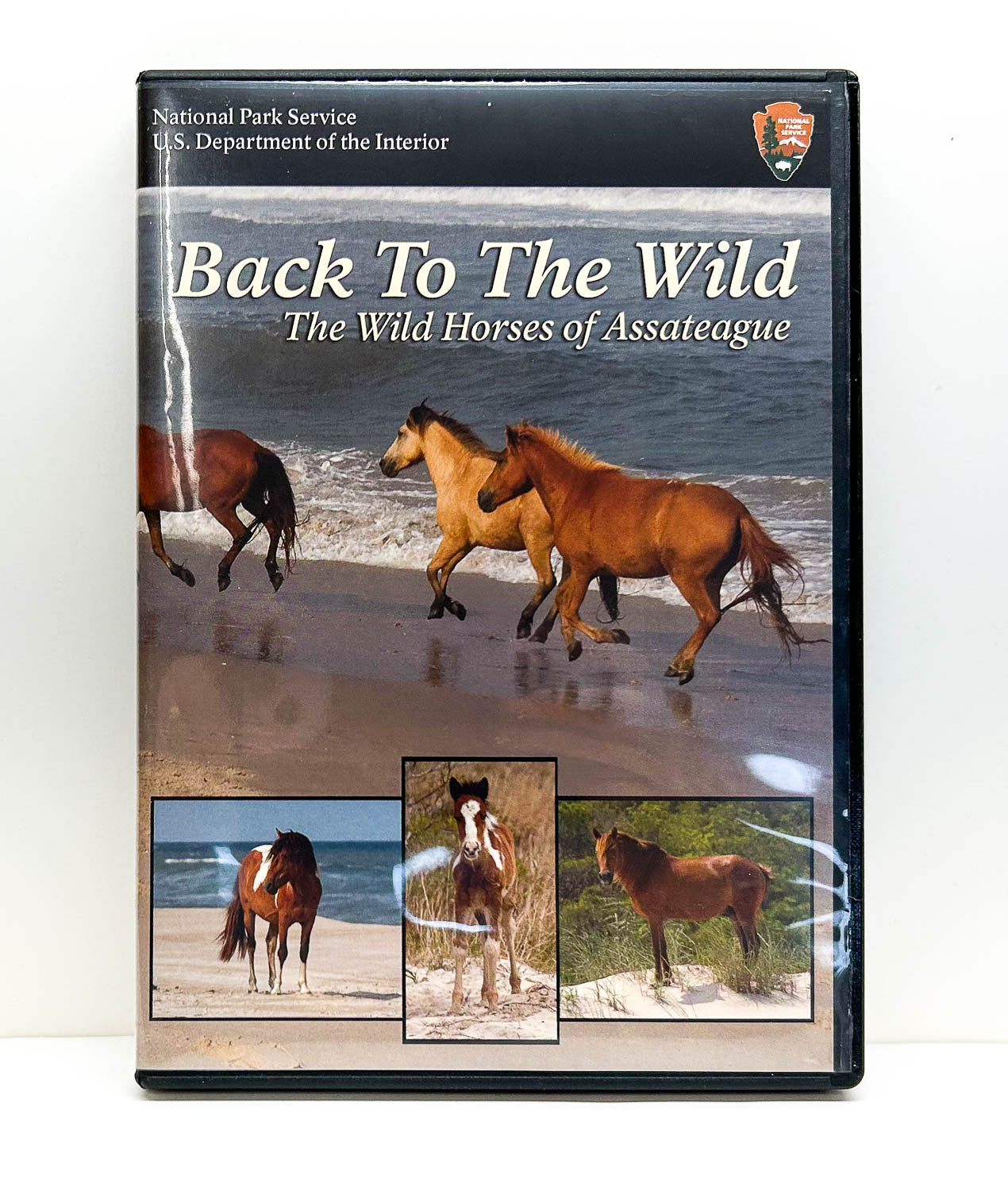 DVD:  Back To The Wild: The Wild Horses of Assateague