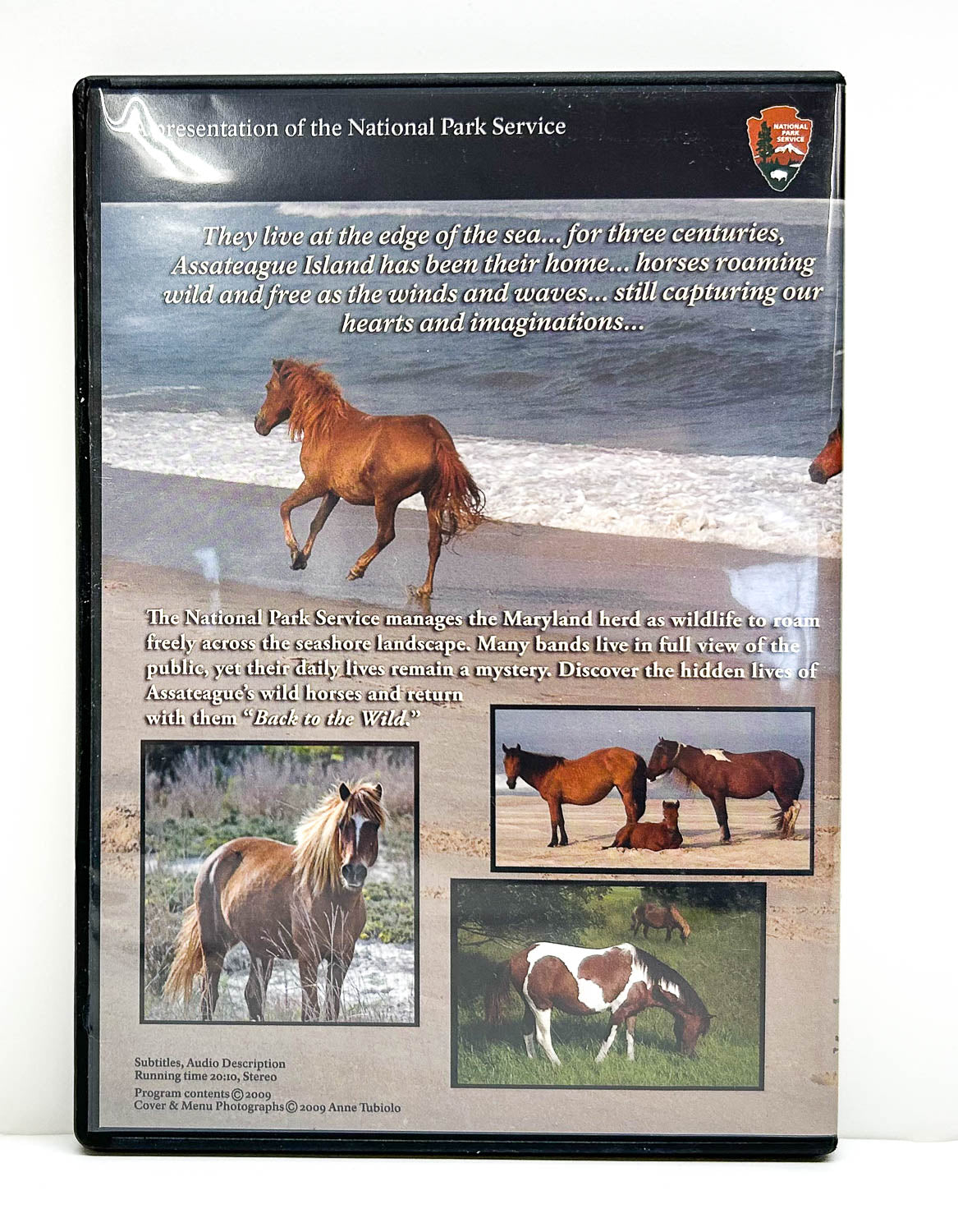 DVD:  Back To The Wild: The Wild Horses of Assateague