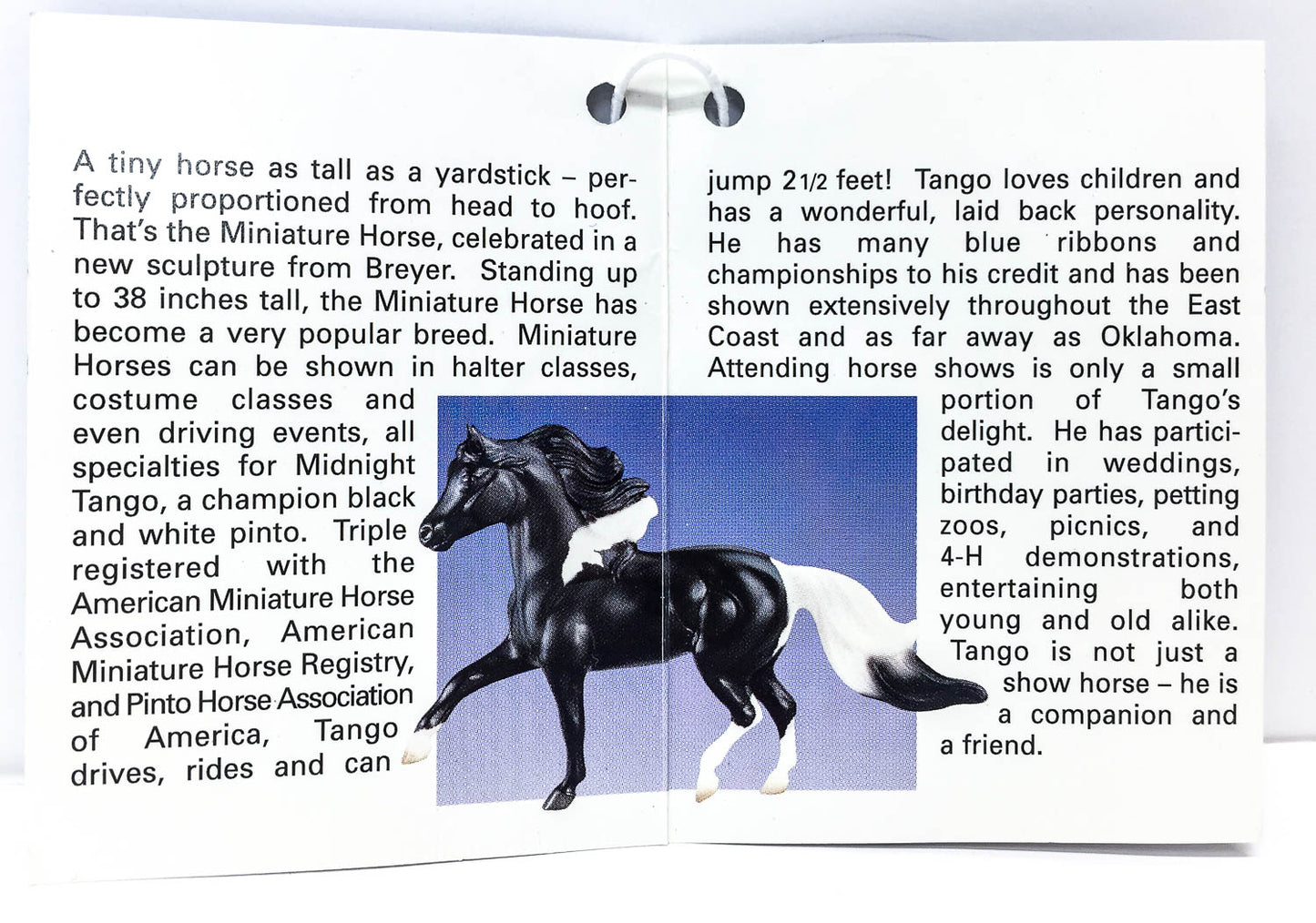 Hang Tag: Miniature Horse ~ Midnight Tango