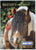 2008 Breyer Box Brochure - Pinto Cover - triple-mountain