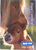 2008 Breyer Box Brochure - Mare & Foal Cover - triple-mountain
