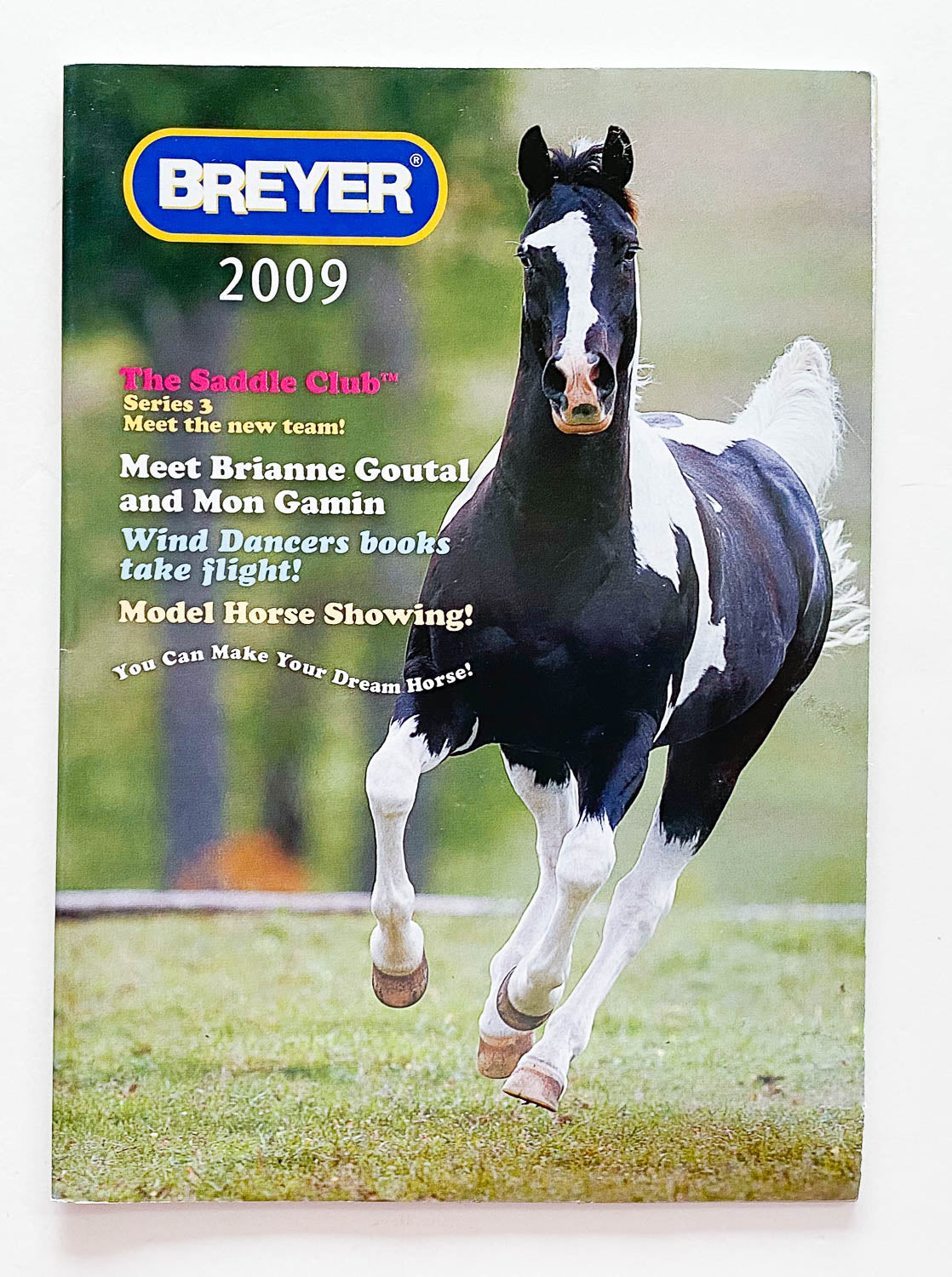 2009 Breyer Box Brochure - Pinto Cover