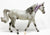 Missouri Foxtrotter, Dapple Grey -JC Penney SR