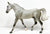 Missouri Foxtrotter, Dapple Grey -JC Penney SR