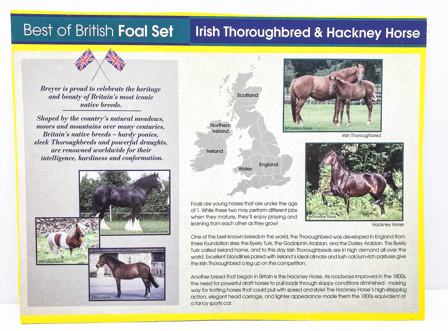 Bio Card / Box Back:  Best of British Foals Set