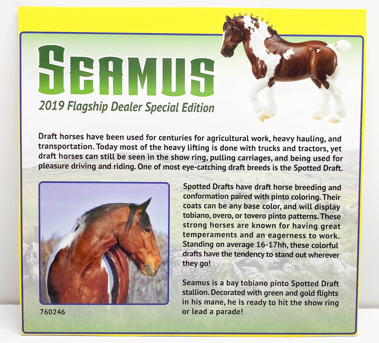 Bio Card:  Clydesdale Stallion ~ Seamus