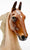 American Saddlebred, Red Roan - DAH (OOAK)