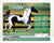 Saddlebred Stallion ~ Livingston - 2021 Flagship Model