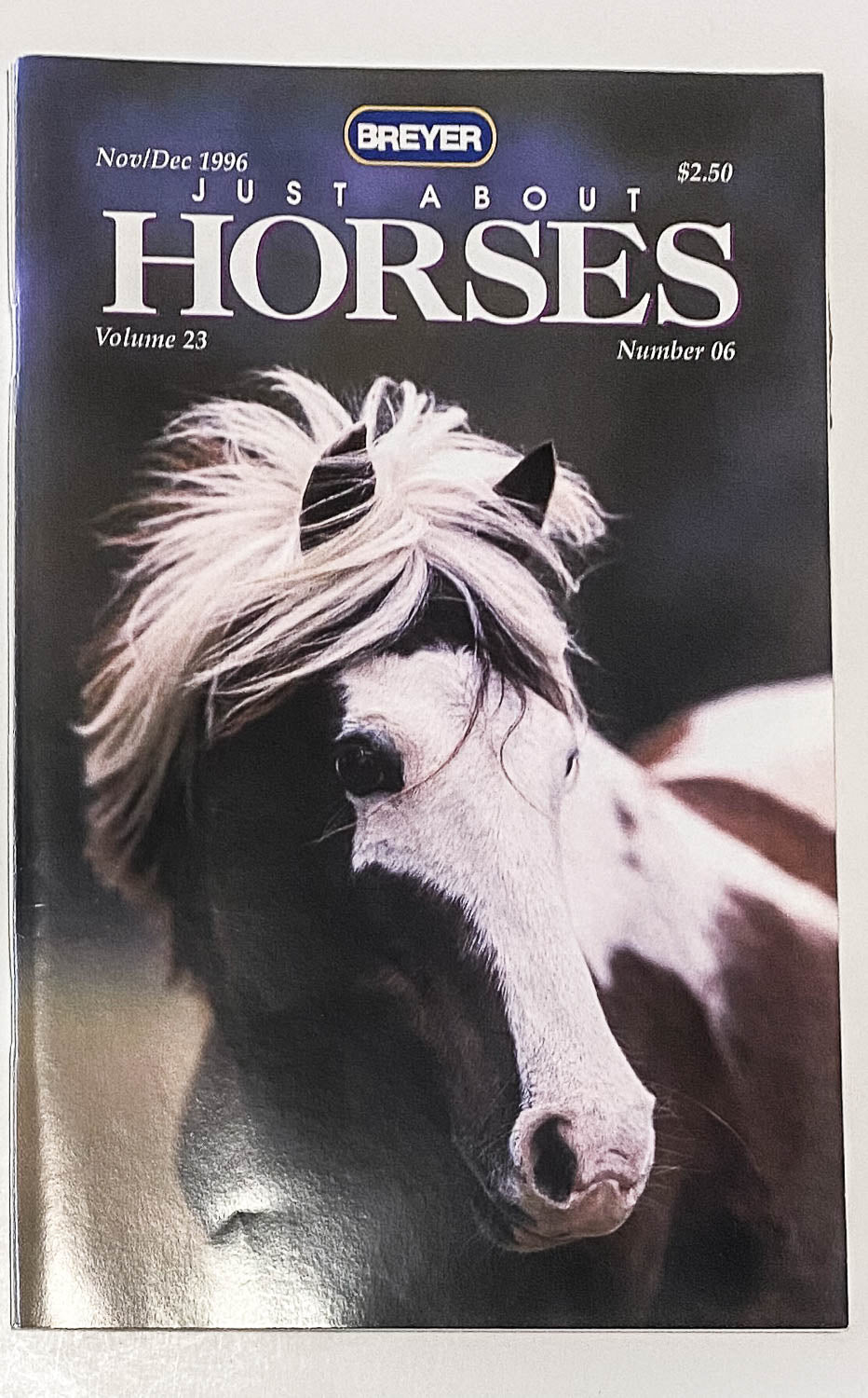 Just About Horses Magazine Vol. 23 No. 6, 1996 Nov/Dec