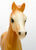 Family Arabian Foal ~ Charity- Palomino, Matte