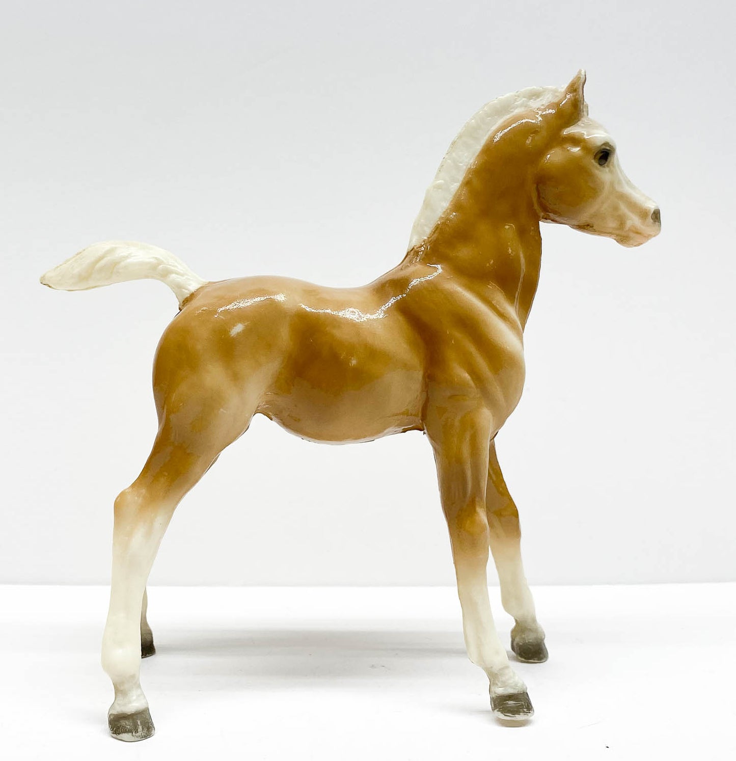 Family Arabian Foal ~ Charity - Palomino, Glossy