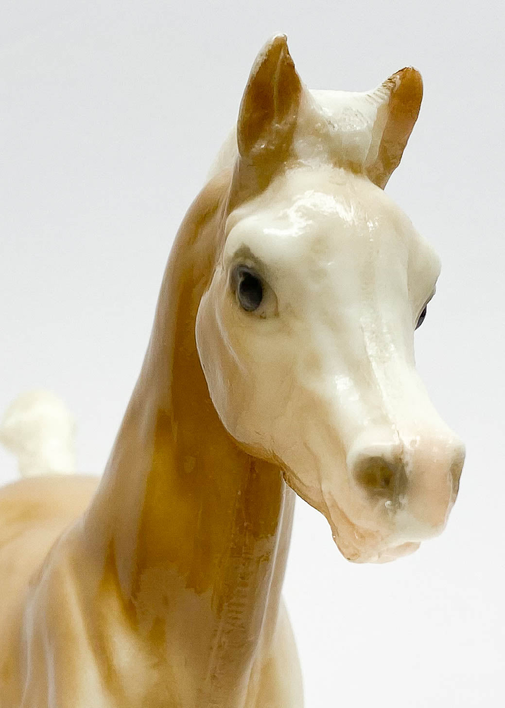 Family Arabian Foal ~ Charity - Palomino, Glossy