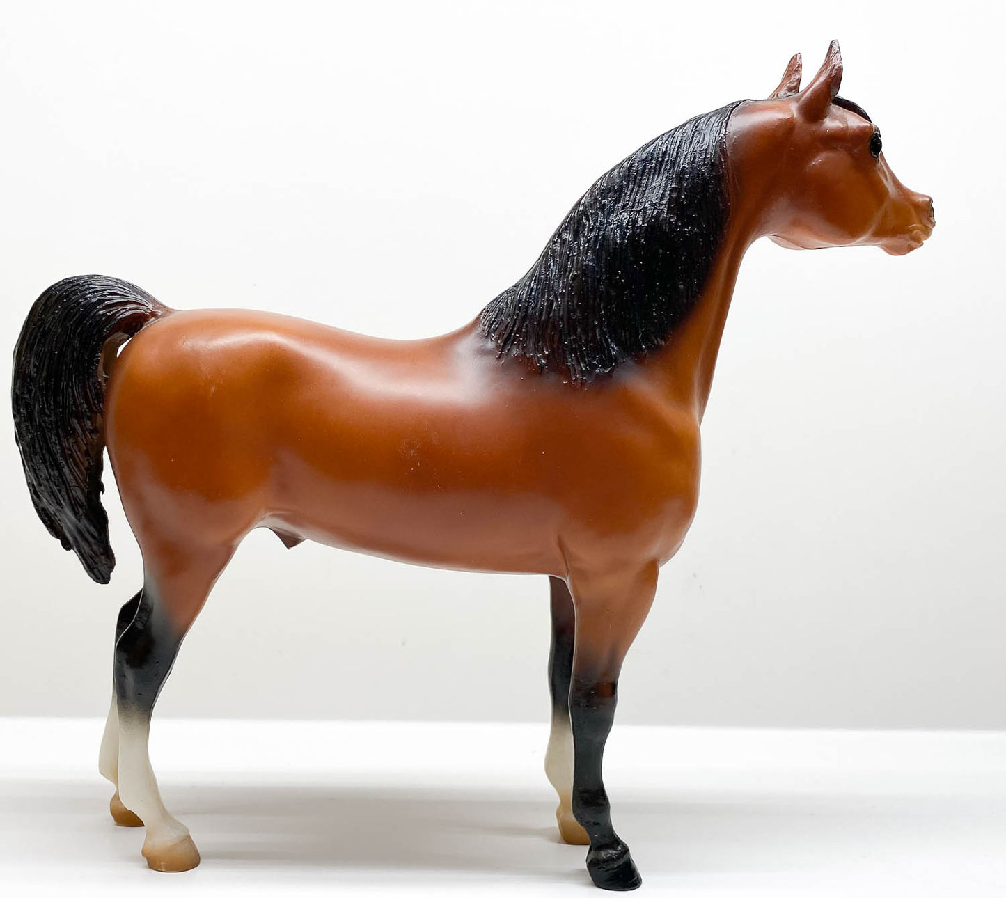 Proud Arabian Stallion, Red Bay - Sears SR