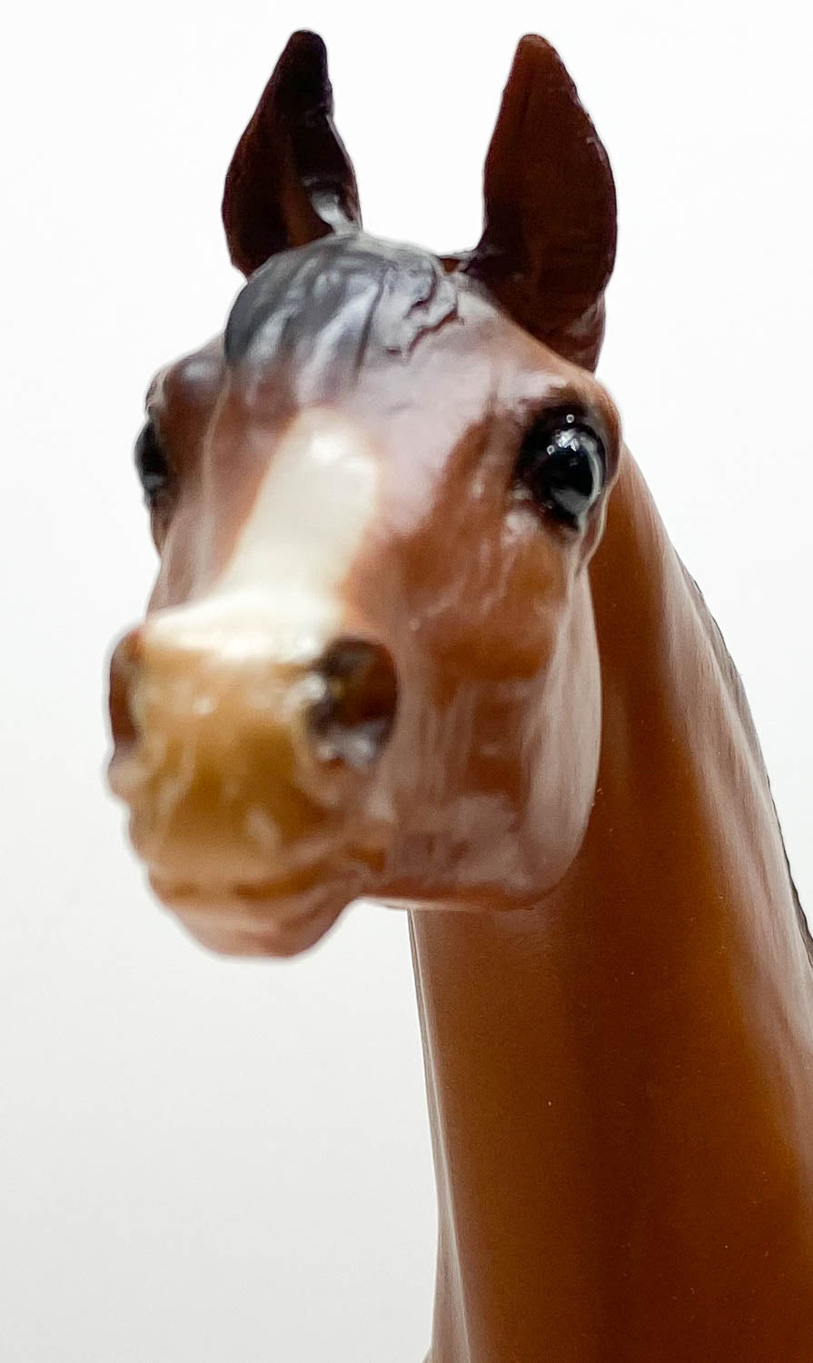 Proud Arabian Stallion, Red Bay - Sears SR
