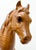 Family Arabian Stallion, Woodgrain - Light Version