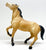 Mustang ~ Diablo, Buckskin VARIATION: Partial Dorsal Stripe