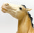Mustang ~ Diablo, Buckskin VARIATION: Partial Dorsal Stripe