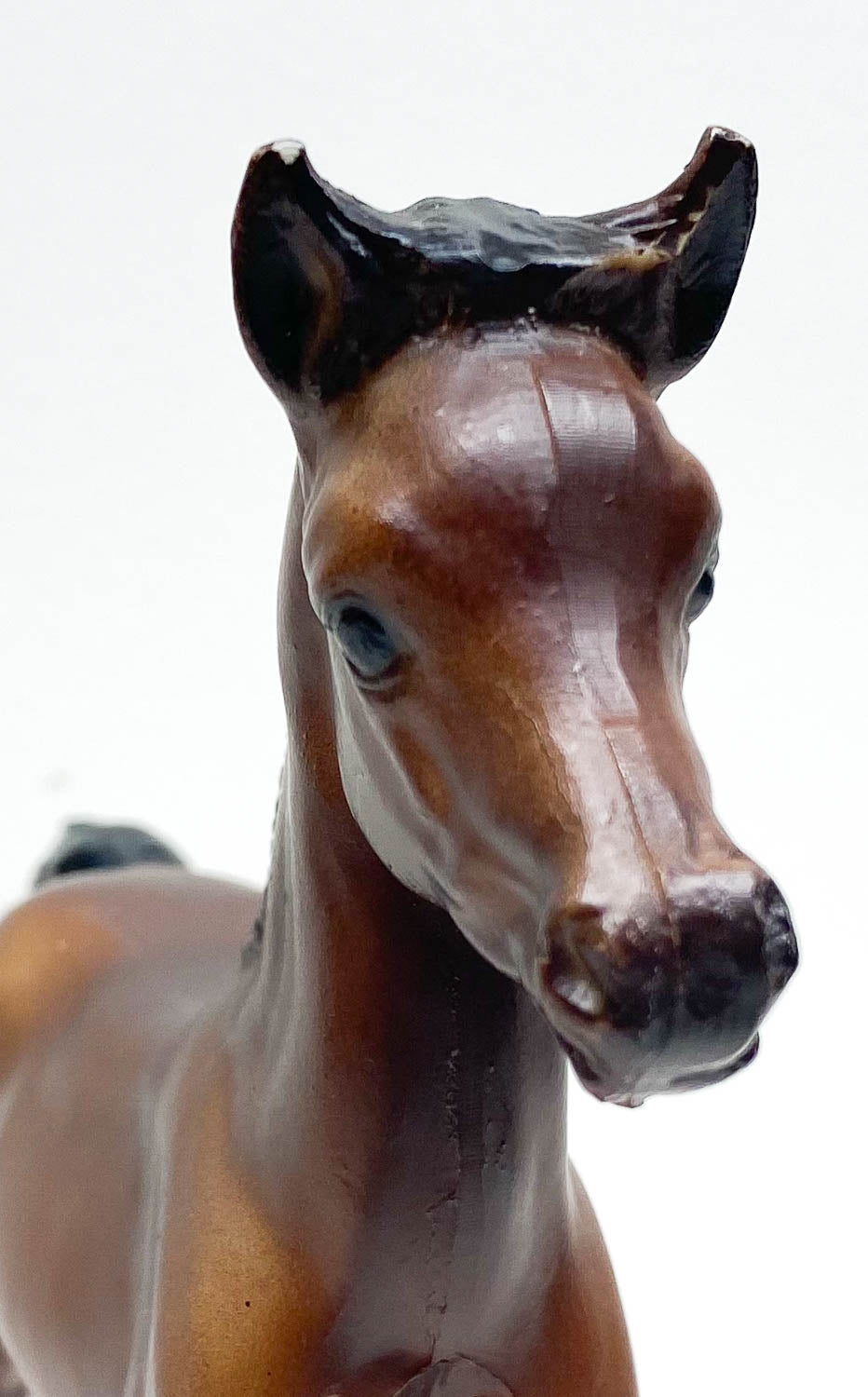 Proud Arabian Foal, Mahogany Bay - Matte