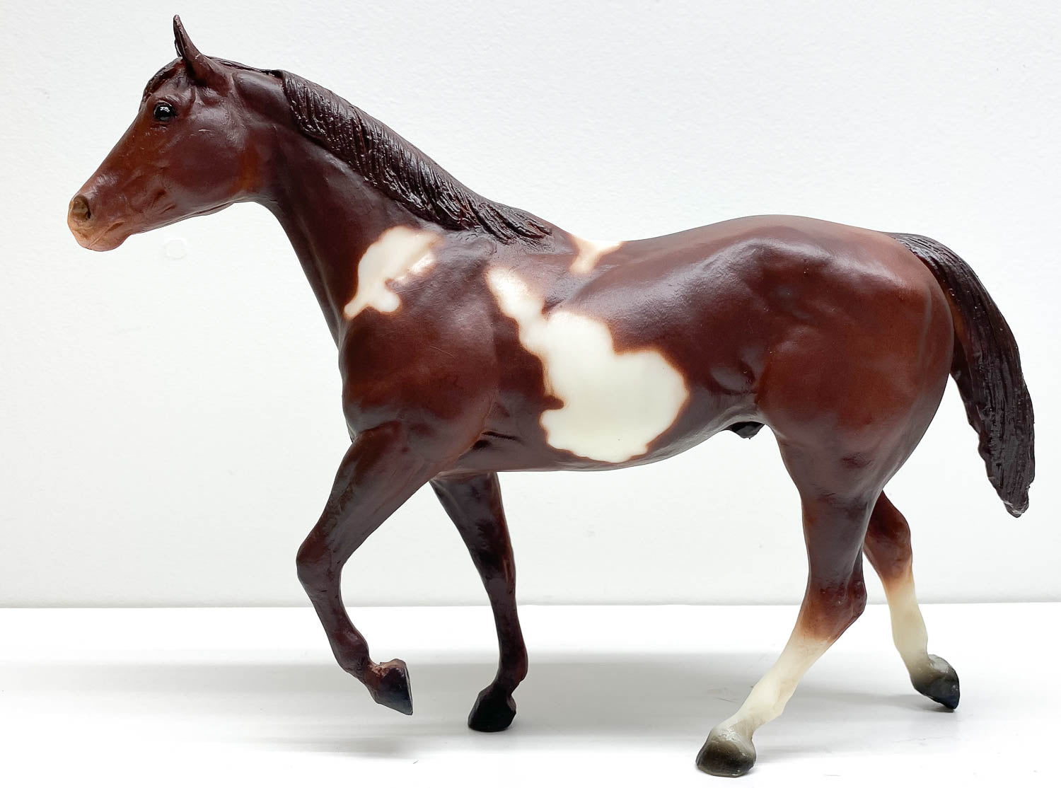 Stock Horse Stallion ~ Paint Horse Stallion