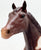 Stock Horse Stallion ~ Paint Horse Stallion