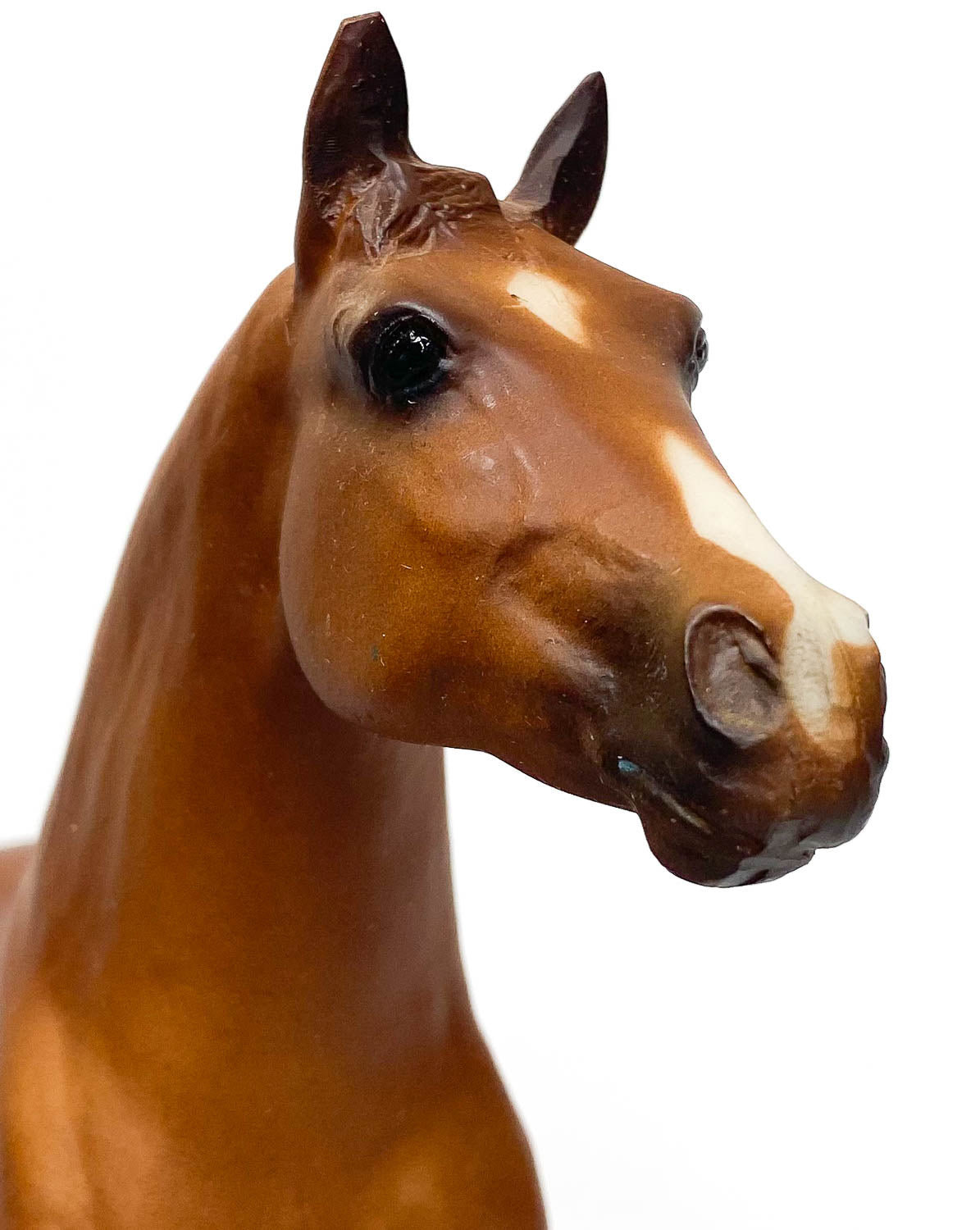 Ideal Quarter Horse ~ Progeny of Doc Bar w/ Extras