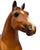 Ideal Quarter Horse ~ Progeny of Doc Bar w/ Extras
