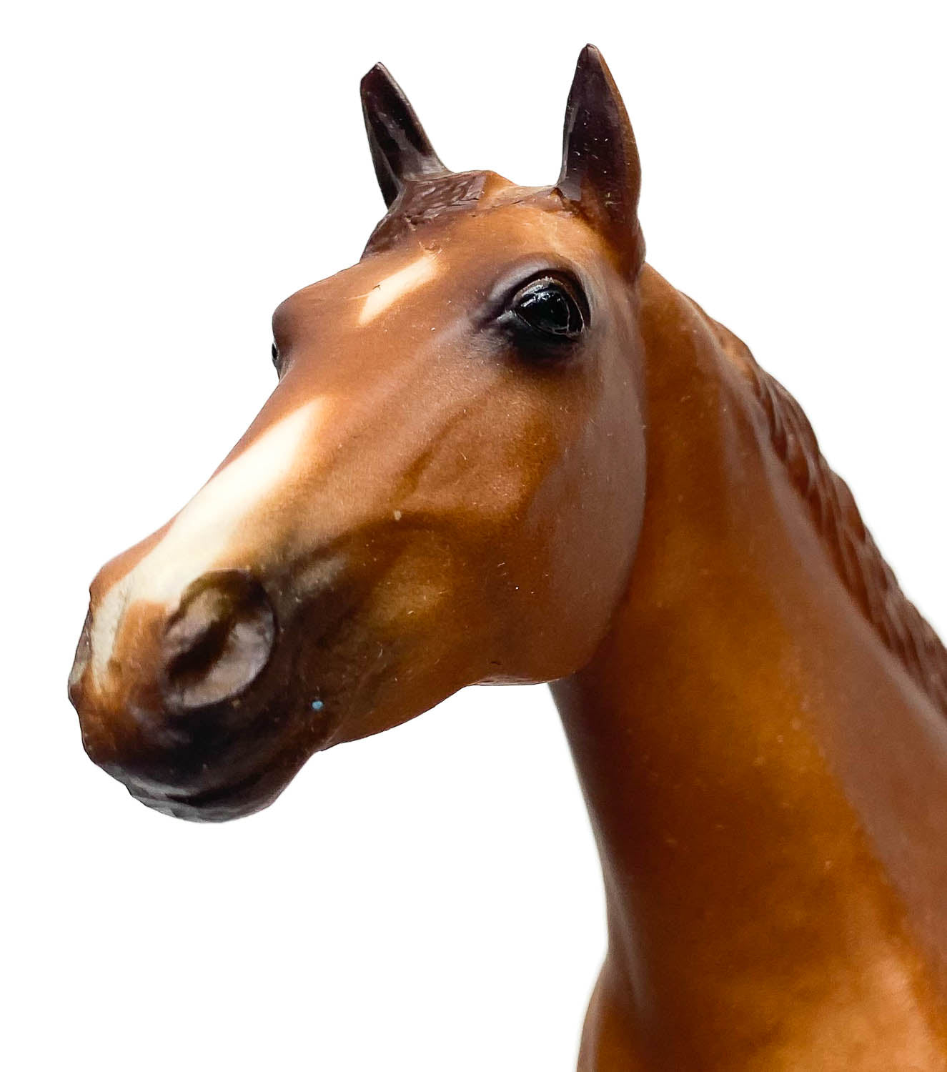 Ideal Quarter Horse ~ Progeny of Doc Bar w/ Extras