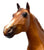 Ideal Quarter Horse ~ Progeny of Doc Bar w/ Extras
