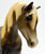 Foundation Stallion, Liver Chestnut - JC Penney SR