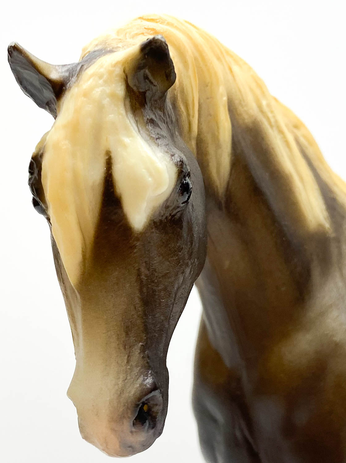 Foundation Stallion, Liver Chestnut - JC Penney SR