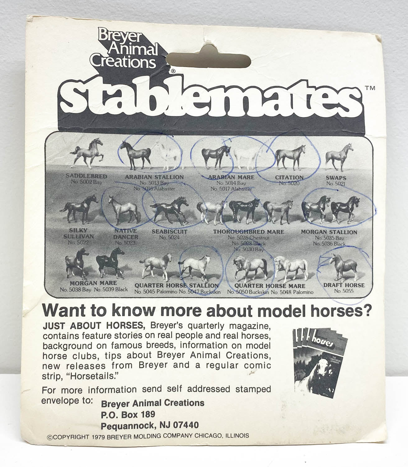 Bubble Card: Quarter Horse Stallion, Palomino or Buckskin