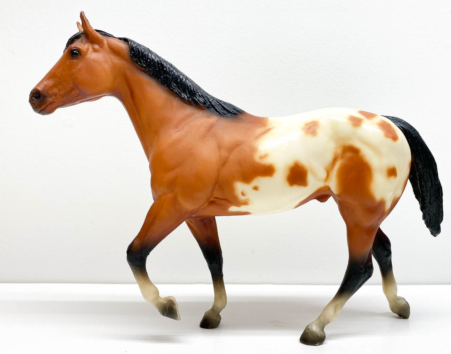 1,669 Appaloosa Horse Stock Photos, High-Res Pictures, and Images - Getty  Images