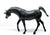Sagr, Black Unicorn - Previously Customized Body