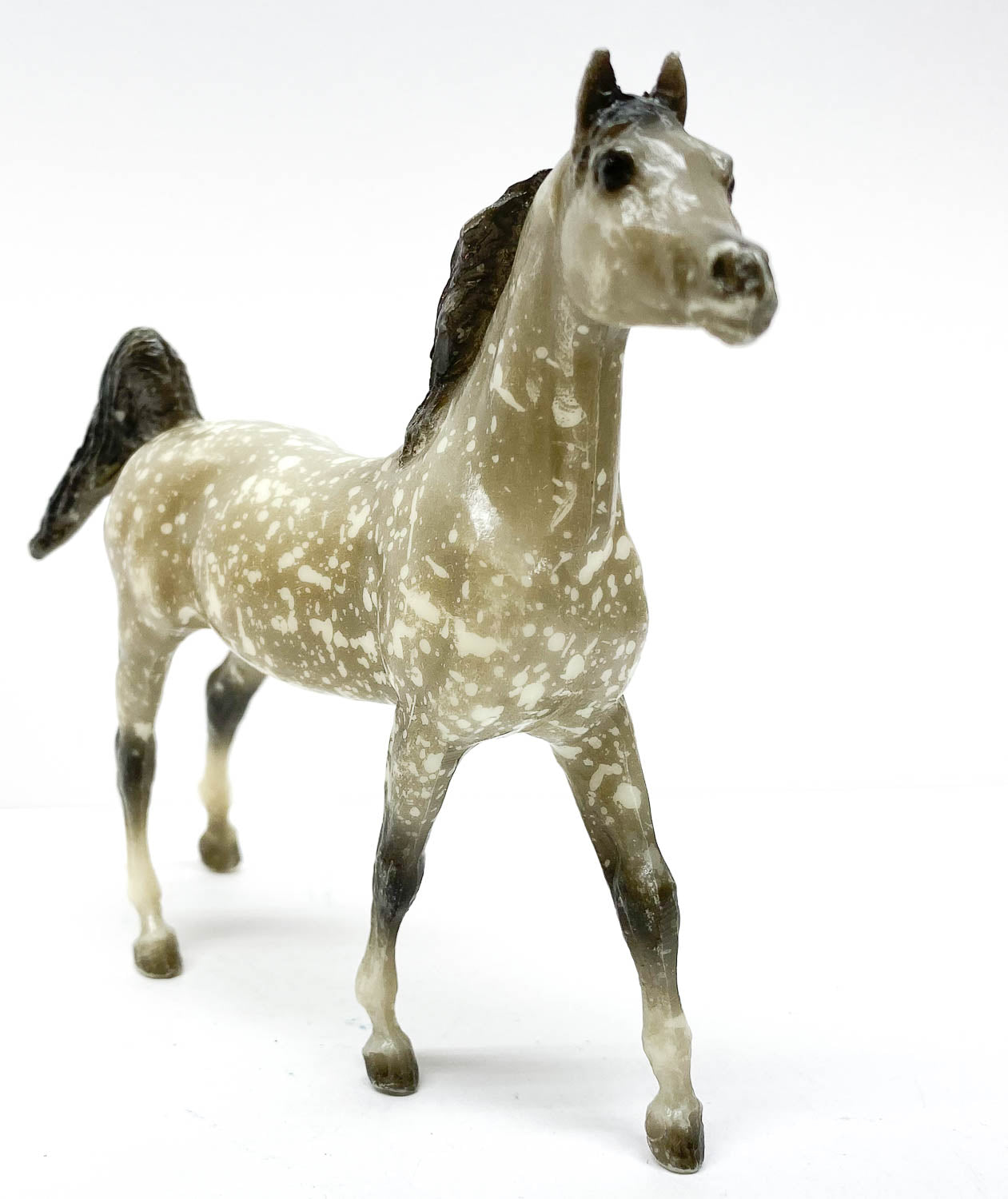 Arabian Stallion, Dapple Grey - JC Penney SR