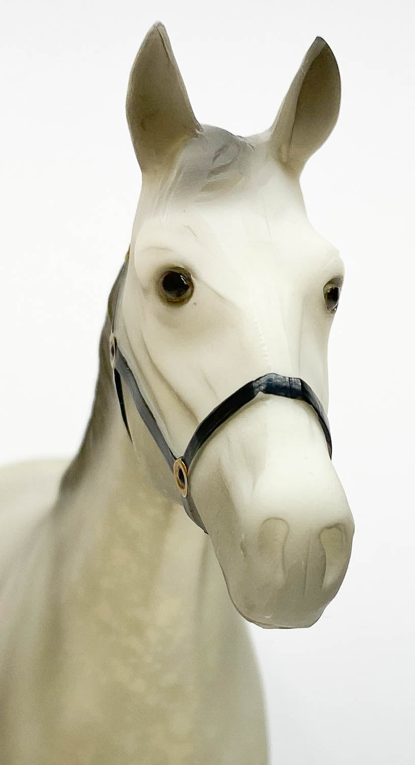 Racehorse ~ Phantom - JAH SR w/ COA