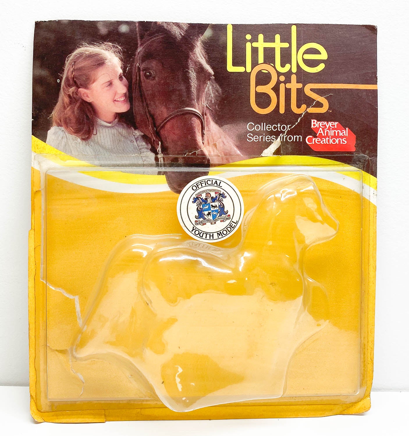 Bubble Card:  Little Bits Morgan Stallion