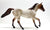 Foundation Quarter Horse, Red Roan - Maybe OOAK