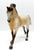 Cantering Warmblood ~ Maifeld - Breyerfest 2022