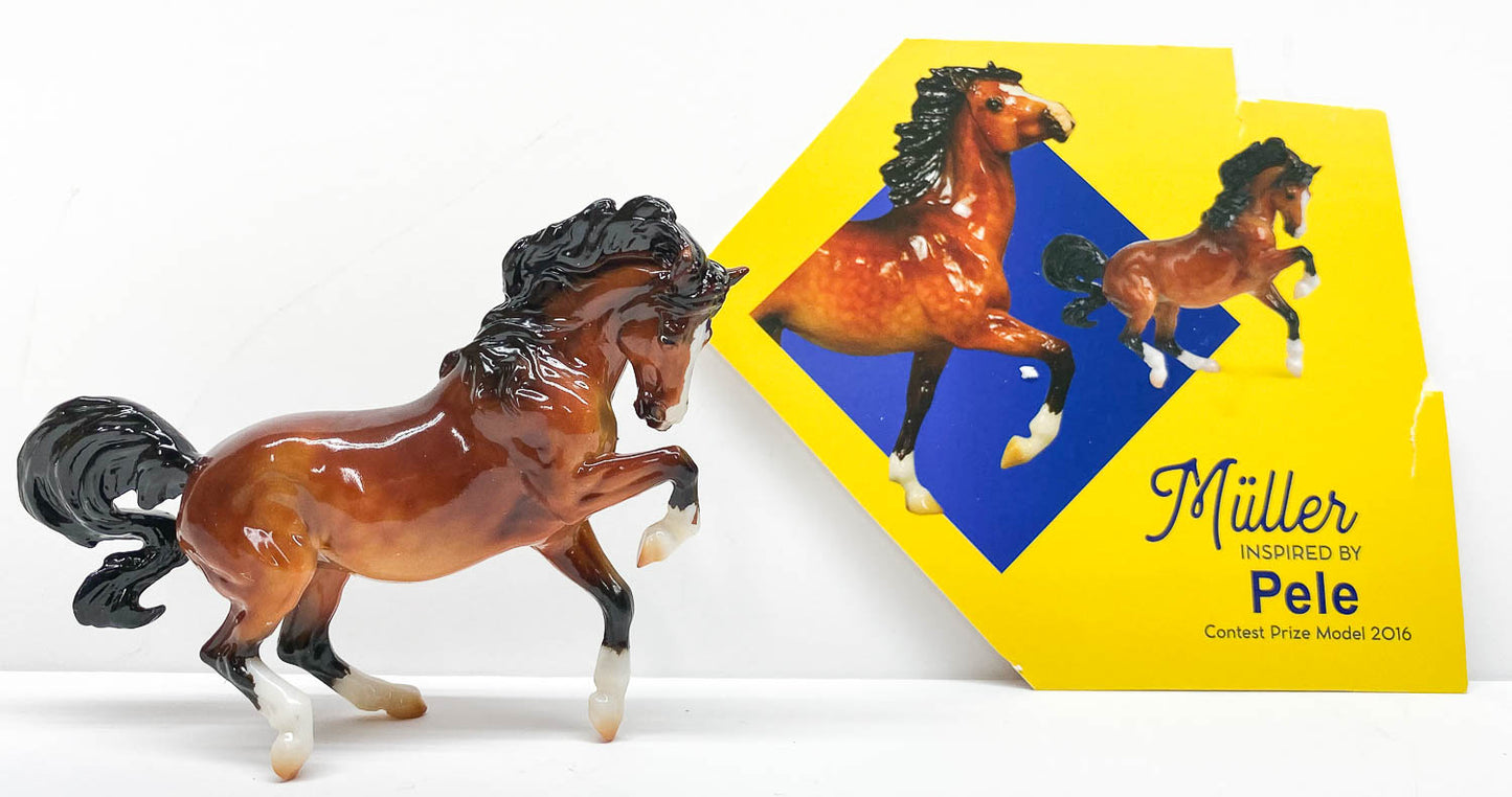 Connemara Mare ~ Müller - Breyerfest 2022