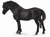 Dartmoor Pony Stallion, Black - triple-mountain