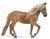 Peruvian Paso Mare, Chestnut (International Release)