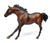 American Quarter Horse Stallion, Bay - WEG 2014 SR +BONUS