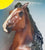 Rearing Mustang & AQH Foal ~ Wild & Free Horse & Foal Set