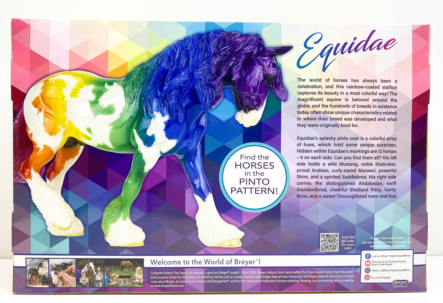 ~ Equidae, Rainbow Decorator – Triple Mountain Horses