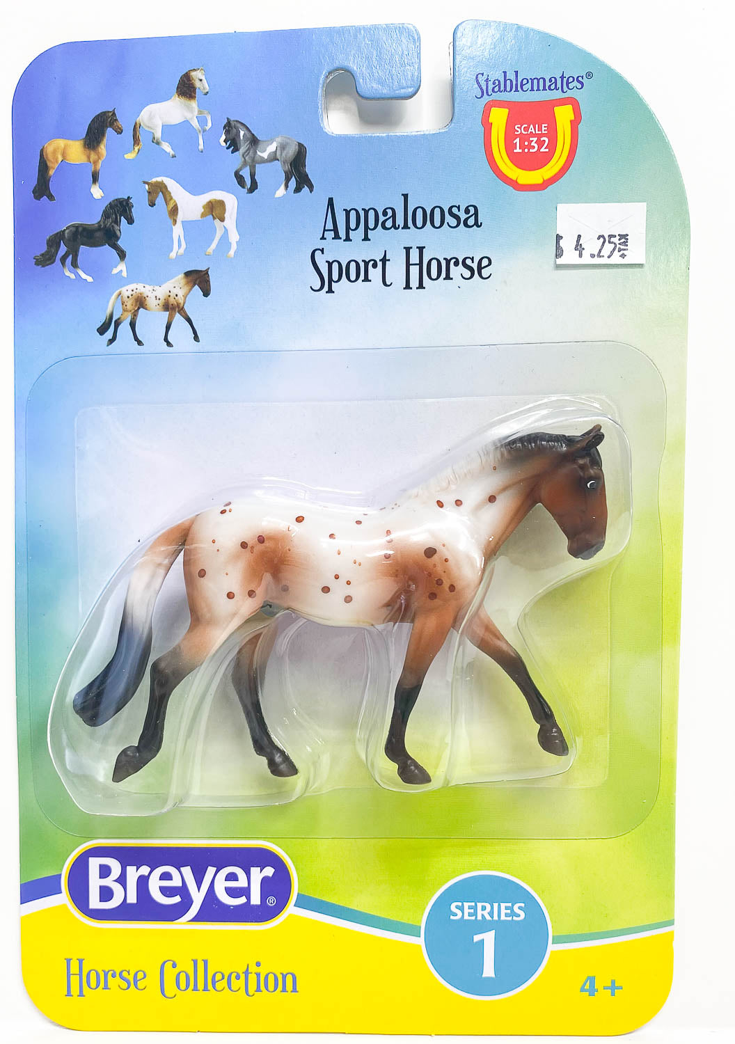 Irish Draft ~ Appaloosa Sport Horse, Bay Appaloosa