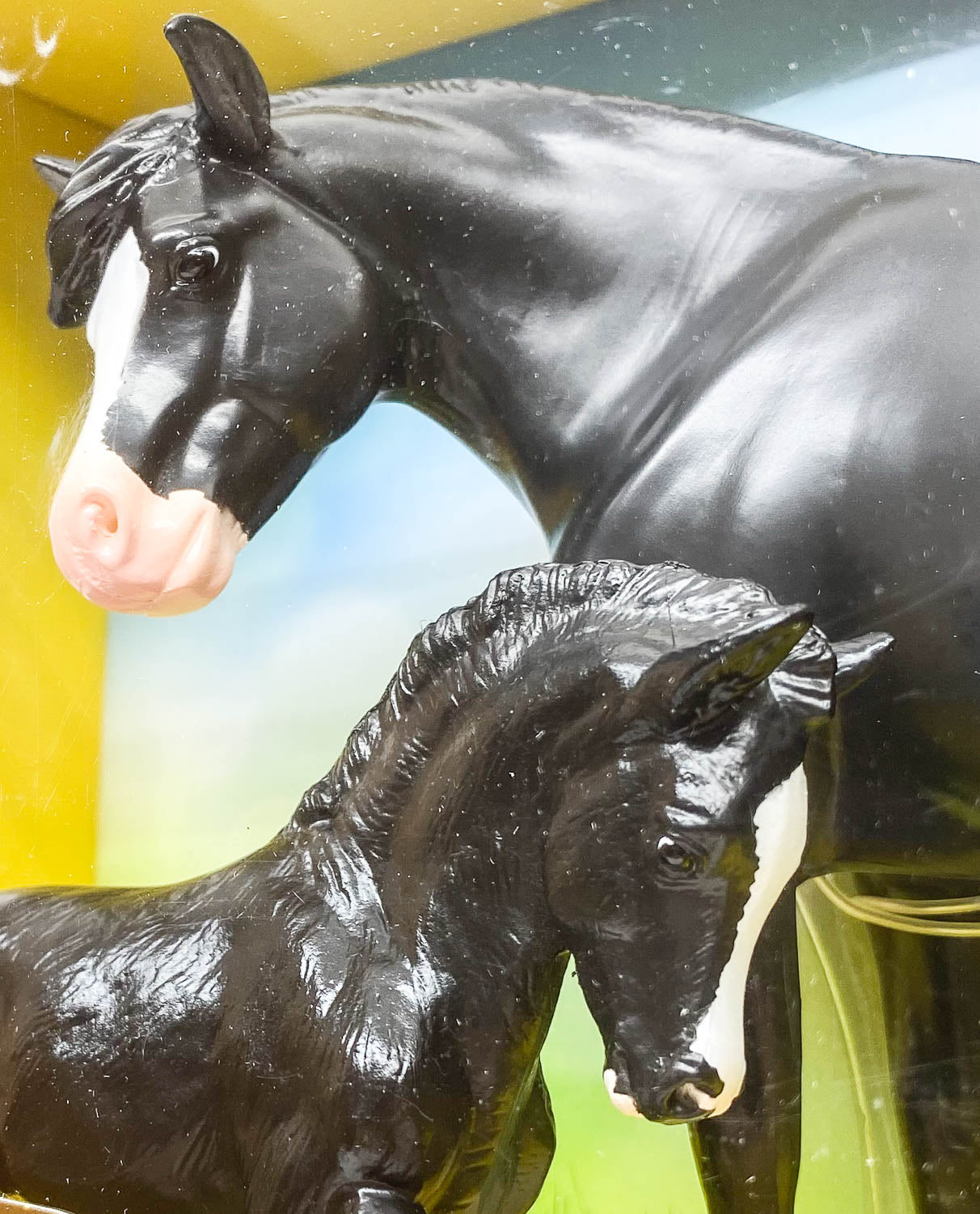 Welsh Pony Mare & Foal ~ Nistar Blazing Kansas LOM & GTF Blazing Ethel