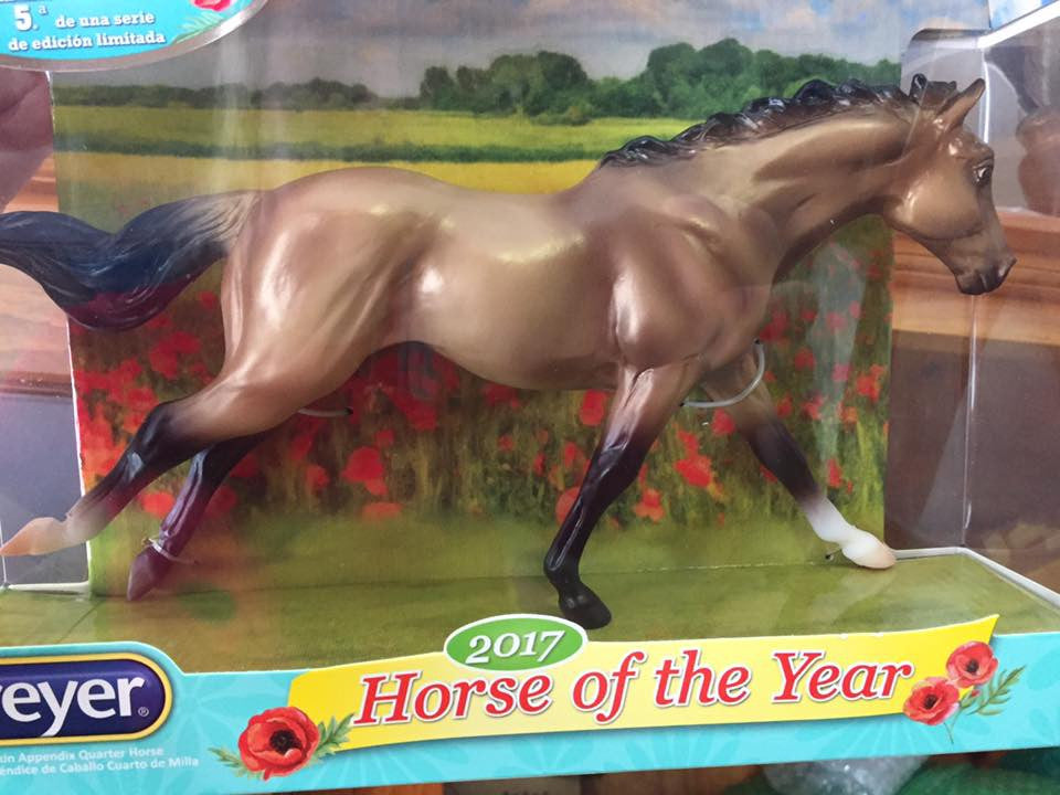 Appendix Quarter Horse Mare ~ Bella, Horse of the Year - triple-mountain