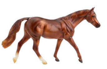 Warmblood Mare ~ Coppery Chestnut Thoroughbred