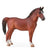Hackney Stallion, Chestnut